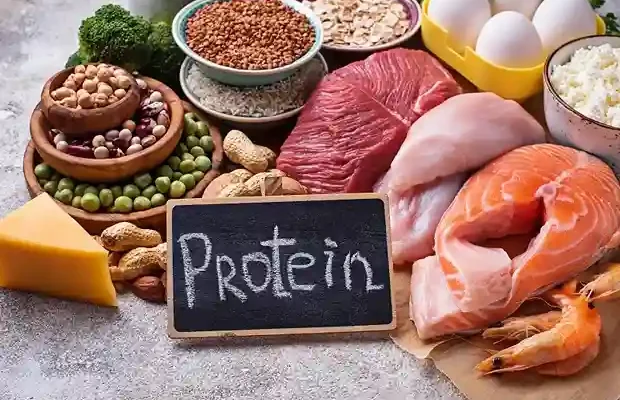 Makanan Tinggi Protein: Rahasia Tubuh Sehat dan Energi yang Tak Pernah Habis
