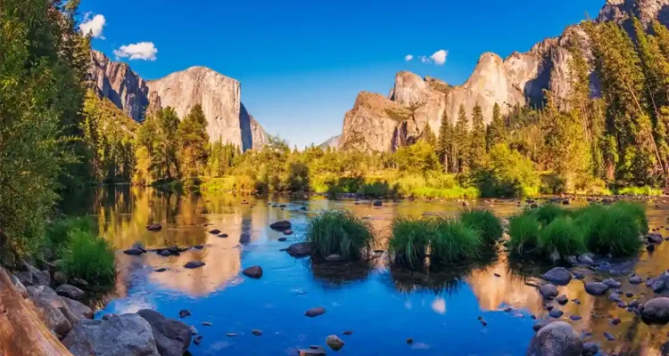 Yosemite National Park: Wisata Pegunungan dan Air Terjun