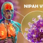 Wabah Penyakit Nipah yang Selalu Jadi Perhatian Dunia